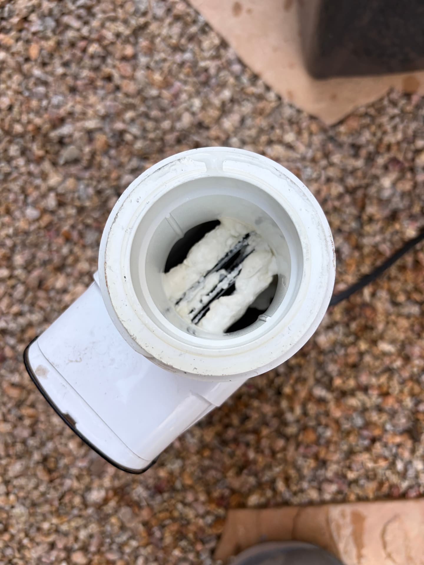 Inside a salt chlorine generator cell, thick white calcium scale packed between the electrode plates